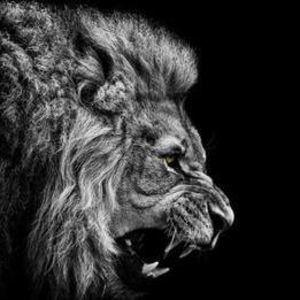 Meet your Posher, Mikey